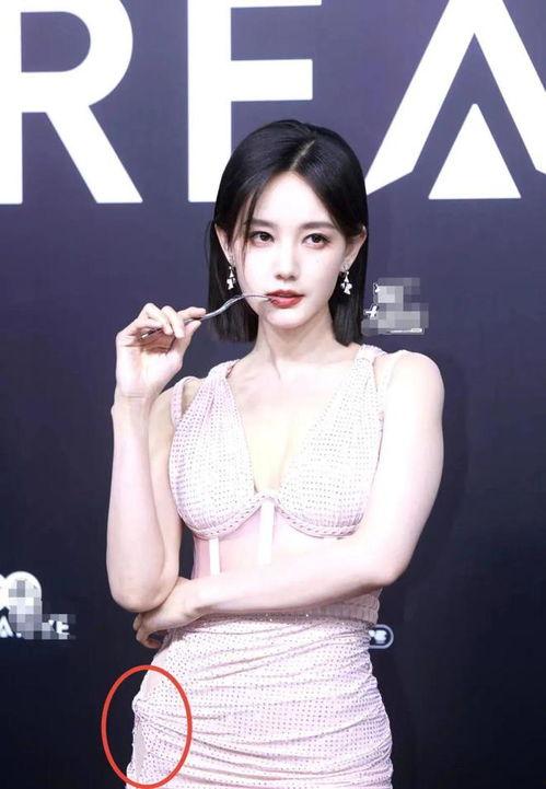 上海的明星网红,上海明星网红风采录