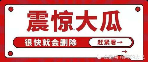 娱乐圈吃瓜合集文案,揭秘明星幕后故事与热点事件