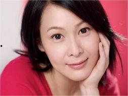 明星网红美女美图,网红美女美图集锦赏析