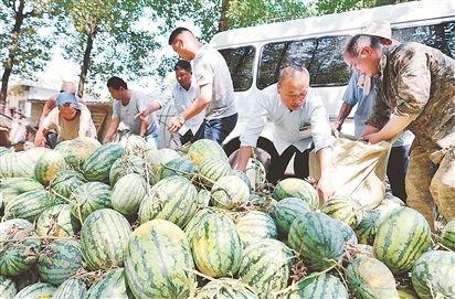大城县吃瓜最新事件爆料,揭秘背后惊人真相