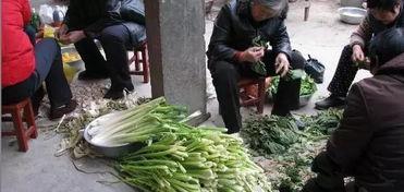 凉山吃瓜爆料事件真相揭秘,揭秘背后的真相与争议