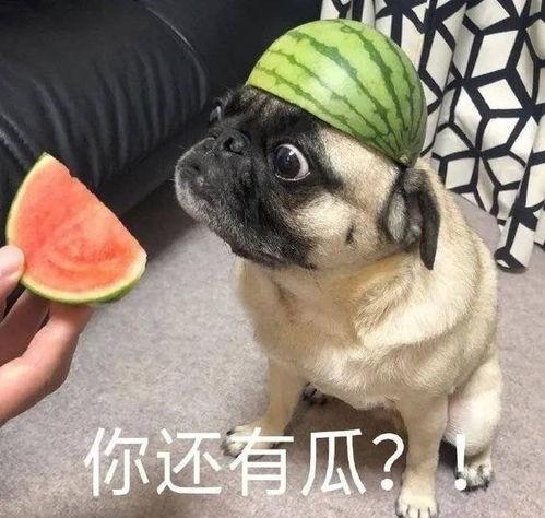 蛋哥吃瓜爆料图片高清大图,高清大图解析吃瓜事件幕后真相