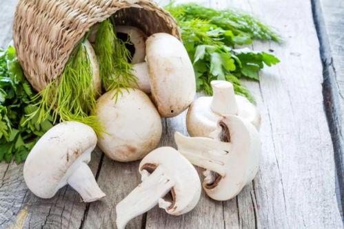 蘑菇吃瓜料每日爆料是真的吗,真相揭秘，每日爆料可信度分析