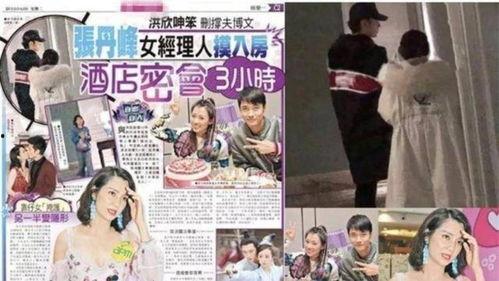 娱乐圈吃瓜爆料张丹峰,娱乐圈风波中的真相与反思