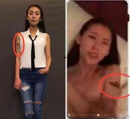 明星网红不雅视频,真相与反思