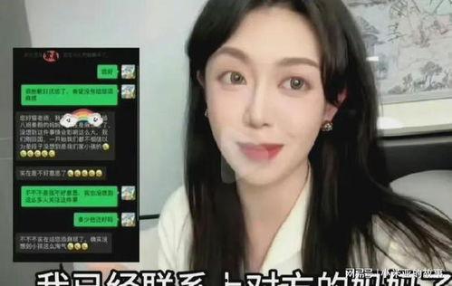 明星网红的网站,热门内容、粉丝互动与商业价值全解析