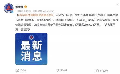 明星网红逃税看法,法律与道德的双重拷问