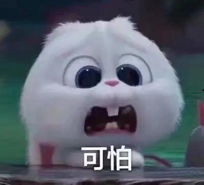 山东吃瓜爆料事件真相揭秘,揭秘背后真相与争议