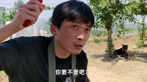 小武哥吃瓜爆料是真的吗,真相揭秘，是真是假？