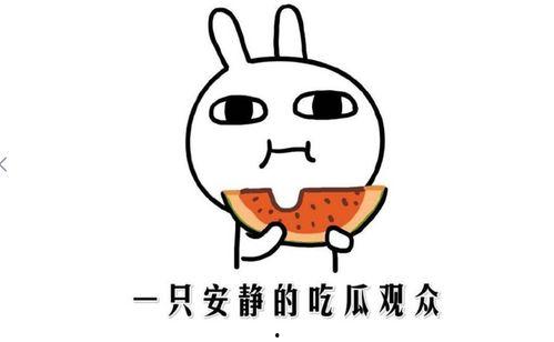 抖音热料爆料吃瓜不打烊,吃瓜不打烊，娱乐圈新鲜事一网打尽
