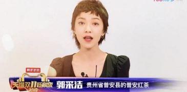 明星网红助力团队,共筑团队辉煌力量