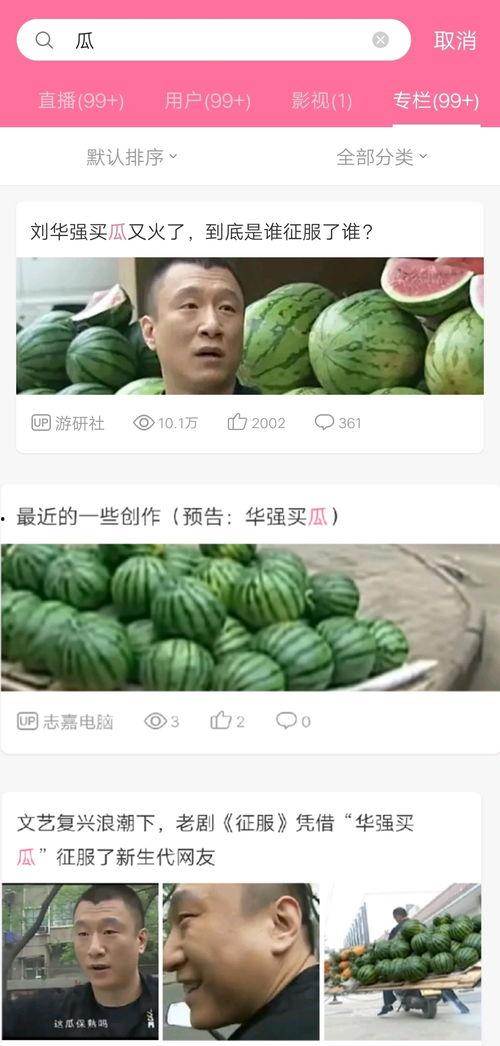 吃瓜爆料的模板是什么意思,吃瓜爆料模板大揭秘，明星隐私曝光背后的真相