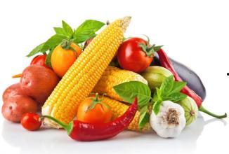 左各庄吃瓜最新事件爆料,最新爆料揭秘幕后真相