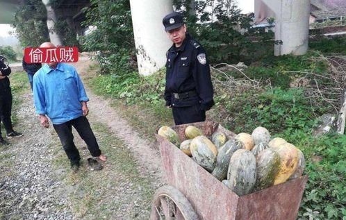 吃瓜最新事件爆料安徽新闻,吃瓜群众热议最新事件，揭秘幕后真相