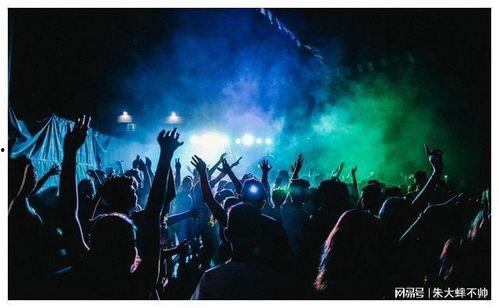 沉浸式吃瓜娱乐圈