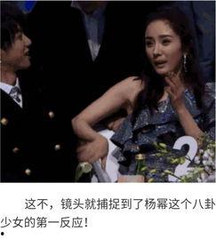 明星八卦吃瓜爆料视频,明星八卦吃瓜爆料视频大汇总