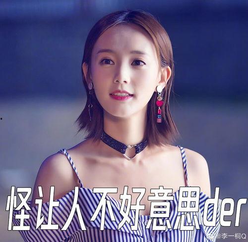 国际明星网红主演,国际明星网红领衔的璀璨盛宴