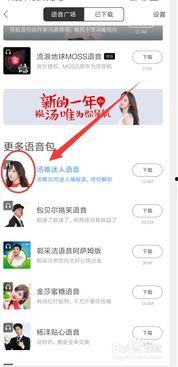 明星网红声音导航,明星声音导航引领潮流新体验