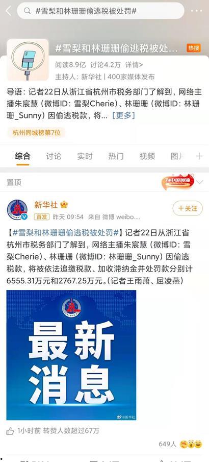 明星网红税务问题,揭秘娱乐圈背后的税务合规挑战