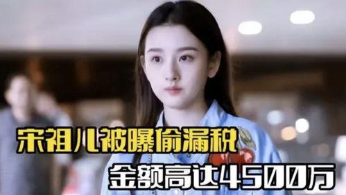 明星网红税务问题,揭秘娱乐圈背后的税务合规挑战