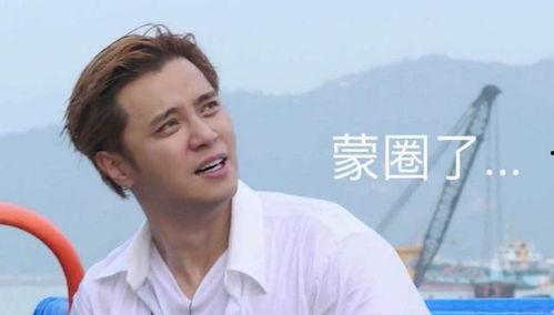 极限挑战娱乐圈吃瓜