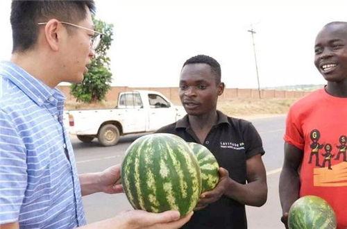 国产ts黑料吃瓜爆料反差在线,吃瓜爆料中的反差人生
