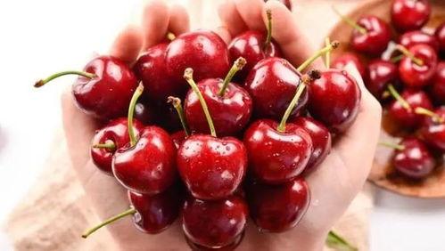 吃瓜网51爆料呱呱车厘子,呱呱车厘子背后的惊人真相