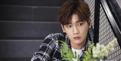 吃瓜爆料王鹤棣陈钰琪,吃瓜群众热议恋情真相