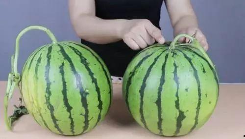 吃瓜爆料群可以直接点进去吗,一键直达的神秘世界