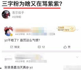 吃瓜爆料王俊凯杨紫视频,吃瓜爆料视频曝光