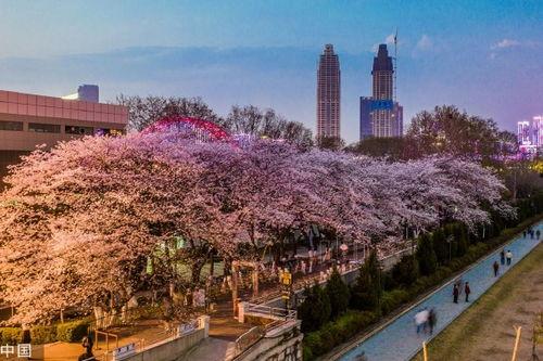 抖音吃瓜爆料入口是真的吗