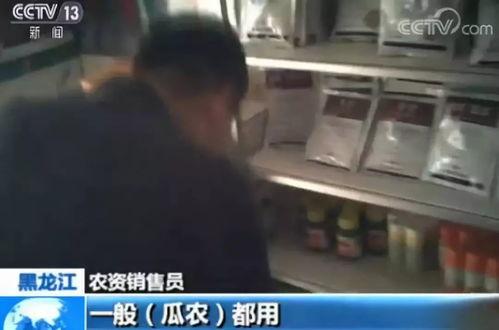 郑州吃瓜爆料视频曝光是真的吗,郑州吃瓜爆料视频真实性揭秘