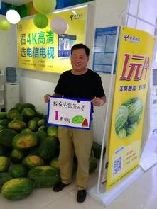 51今日黑瓜吃料爆料官网,揭秘官网最新爆料，带你领略娱乐圈风云变幻