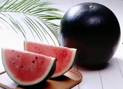 51今日黑瓜吃料爆料官网,揭秘官网最新爆料，带你领略娱乐圈风云变幻