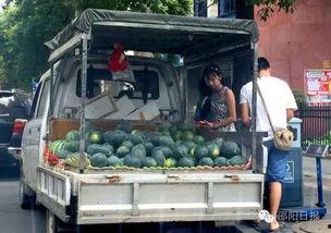 邵阳最新吃瓜爆料事件真相