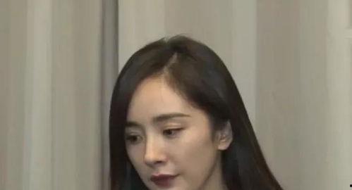 明星网红被怼,网络舆论场风云再起