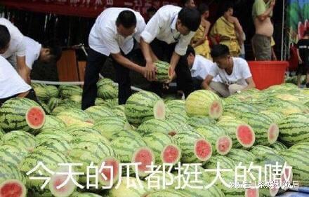 51今日吃瓜爆料上海二中,51今日吃瓜爆料，案情揭秘！