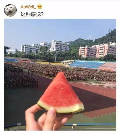 学姐吃瓜娱乐